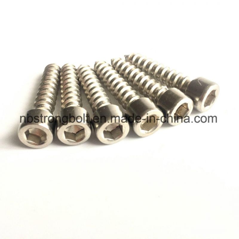 Stainless Steel Hexagon Self-Tapping Screw