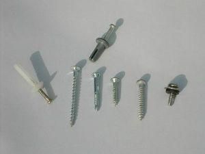 High Quality Screw Nail in Jinhua