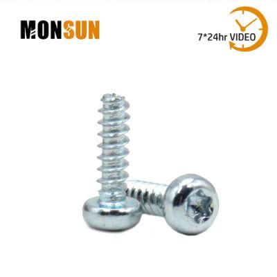 Star/Six-Lobe Drive Type B Pan Head Self Tapping Plastic Screw
