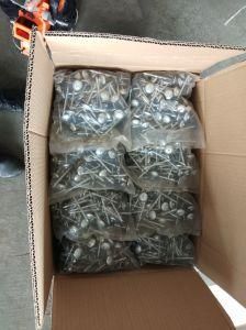 Galvanized Roofing Nail 1kg Packing
