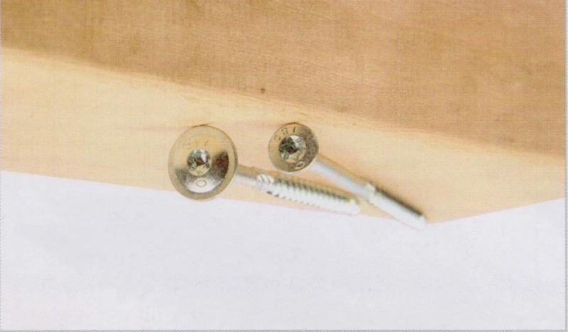 Construction Screw/Wood Screw /Chipboard Screw with Ruspert Cut Point