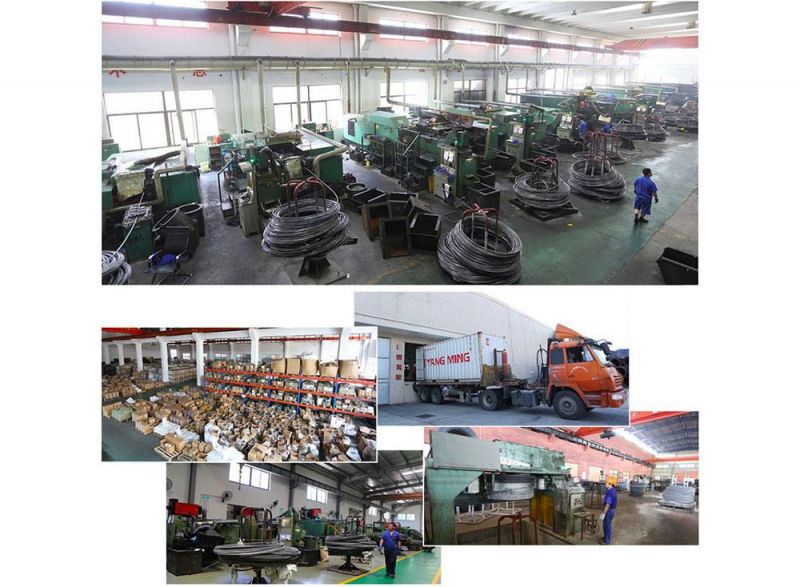 Cheap Price Carbon Steel/Galvanized/HDP/Zinc Plated U Bolt/Hex Bolt/Anchor Bolt/Flange Bolt/Heavy Hex Bolt 4.8 5.8 6.8 8.8 U Bolt and Nut A2-70 U-Bolt