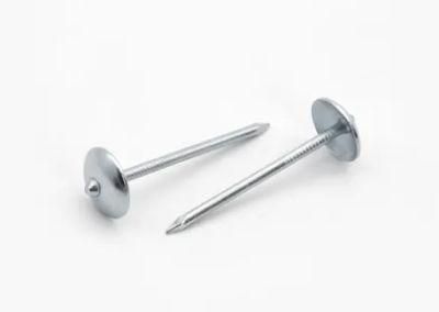 Electro Galvanized Smooth Shank Roofing Nail with Umbrella Head