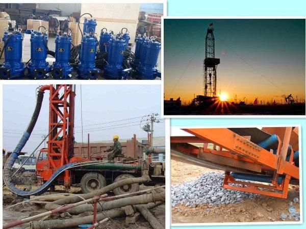 Rigging Hardware SS304 SS316 Lifting Screw Long Eye Bolt