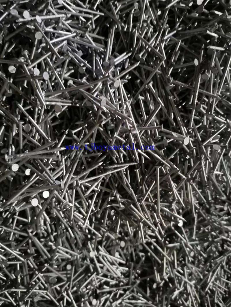 Flat Head Polished Common Round Wire Galvanized Common Iron Nails for Construction