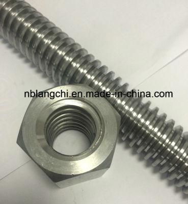 Trapezoidal Thread Acme Rod Leadscrew with Hex Nuts Tr30X6