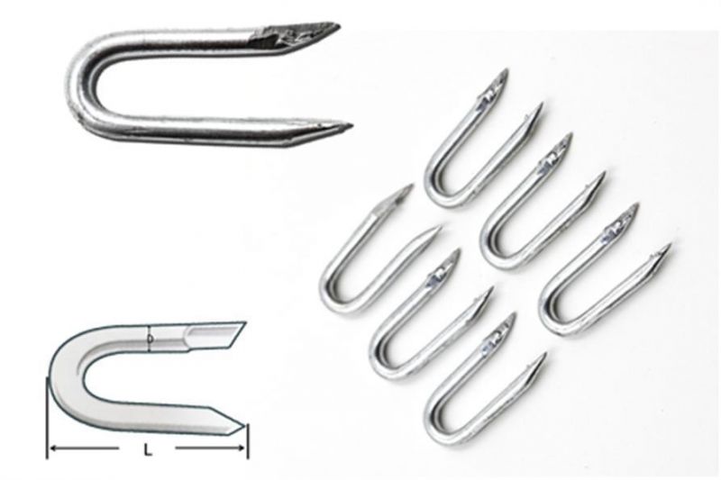 U-Shaped Nail Staples Pins