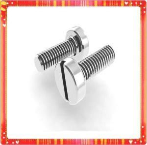 DIN920 Titanium Slotted Pan Head Screws with Small Head