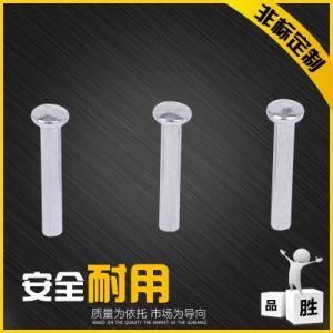 Customized Rivets for Hinges