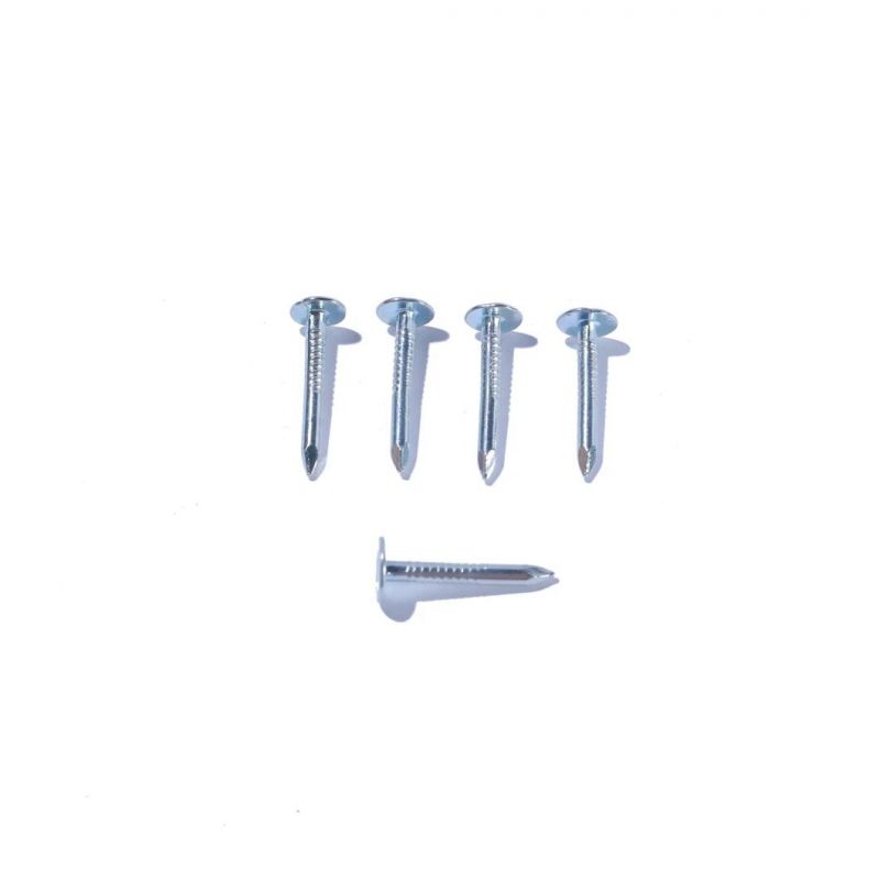 Flat Head Roofing Nails Galvanized Cupper Ceiling Nails