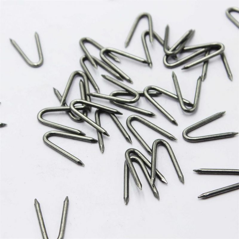 U-Shaped Nail Staples Pins