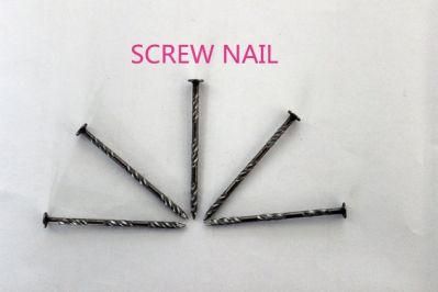 Best Quality Special Stainless Nail Coil Nail with Good Price