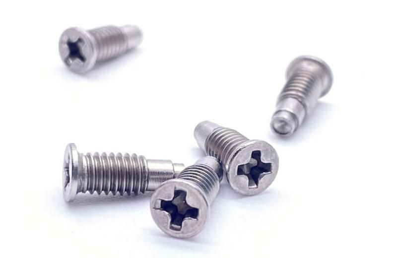 Special Fastener CNC Part Ultra Low Phillip Cross Head Screw