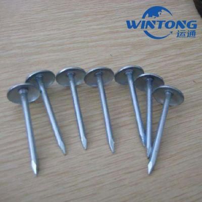 Steel Galvanized Construction Wire Umbrella Head Nails Concrete Nails