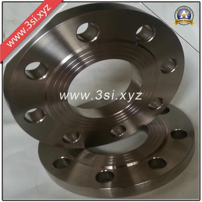 Hot Sale Carbon Steel Plate Flange (YZF-E394)