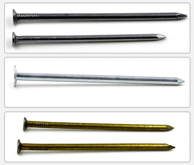 Q195/Q235 All Sizes Iron Factory Manufactured in China Common Nail