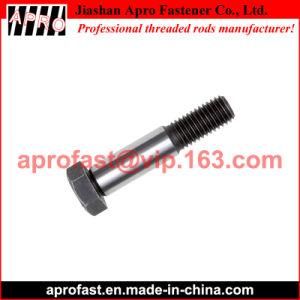 DIN609 Hexagon Head Shoulder Screw