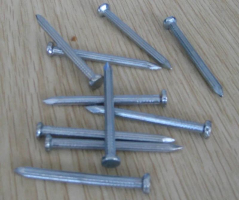 Galvanized Cement Steel Nail Concrete Steel Nail