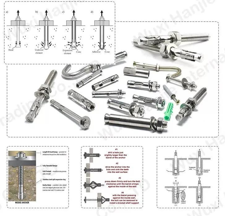 Stainless Steel Carbon Steel Drop in Expansion Bolt with Nut Wedge Anchor Stud Head Screw Throught Anchor