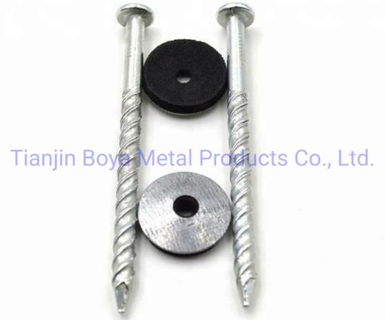 Galvanized Assemle Roofing Nail/Umbrella Nail/Pallet Nail/Iron Nail/Hardware/Building Nail