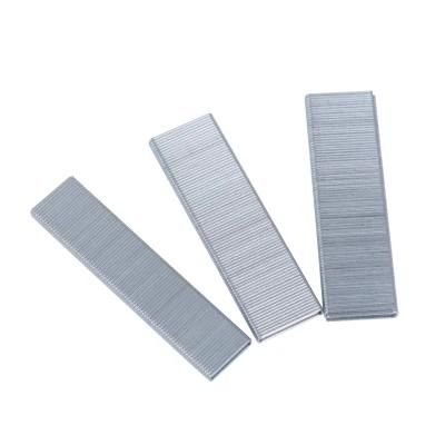 Galvanized Code Nail (100) Decoration Nail