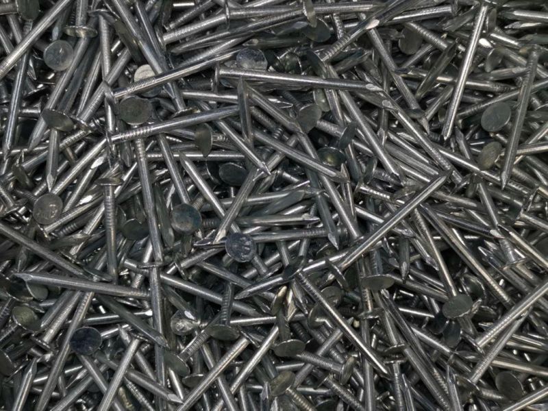Harden Common Round Iron Wire Nail