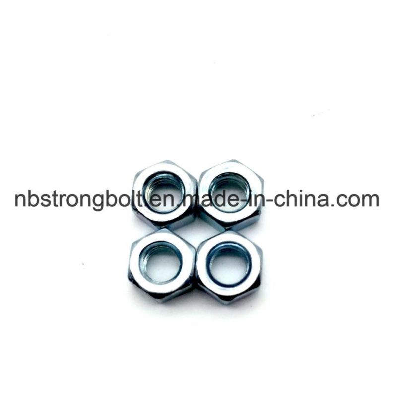 Hex Nut with Zinc