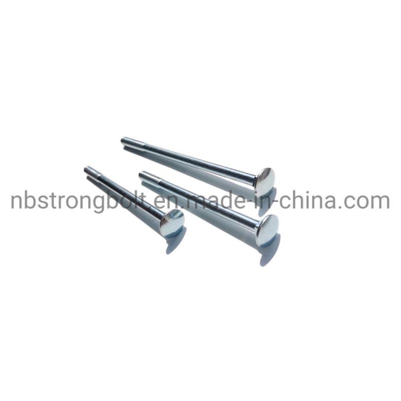 Round Head Square Neck Bolt Screw DIN603