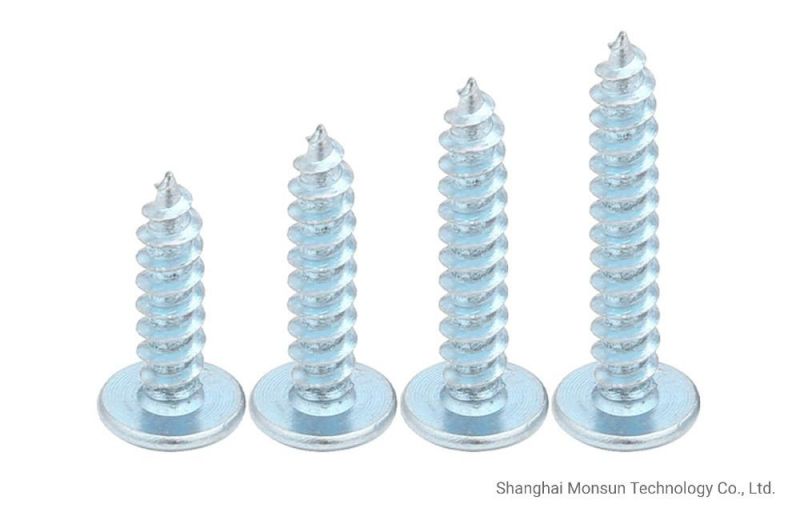M3 M4 M5 M6 Hardend Galvanized Mushroom Head Tapping Screwsfor Aluminum