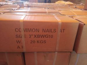 Polished Common Iron Wire Nail 20kg Packing