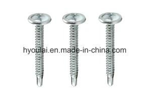 Pand Head Washer Screw Self Tapping Self Drilling Screw