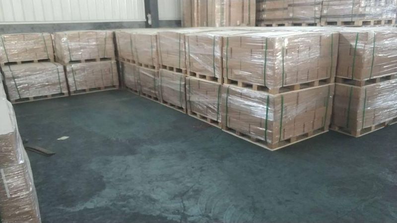 Galvanized Steel U Type SOD Staples Ground Cloth Pins Stakes with Cheap Price
