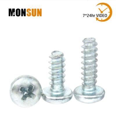 Type B Pan Head Phillipsdrive Self Tapping Screw/Tornillos