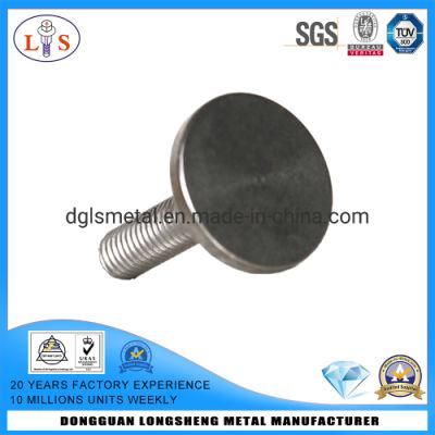 Stainless Steel 304 Flat Head Bolt with Economic
