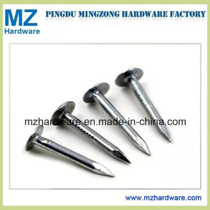 Big Head Flat Head Clout Roofing Nail Electro-Galvanized Clout Nail Roofing Nail