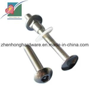 Anti-Theft Bolts Stainless Steel Round Head Bolts with Nuts (ZH-FB-057)