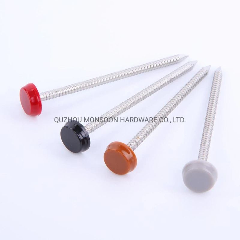High Quality GB ISO China Nail Polytop Pins with Cheap Price