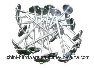 Galvanized Roofing Nail / Roofing Nails / Corrugated Roofing Nails