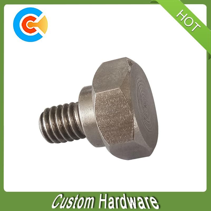DIN/ANSI/BS/JIS/Customized Stainless Steel Hexagon Socket Head Cap Screw for Faucet/Roofing/Machine
