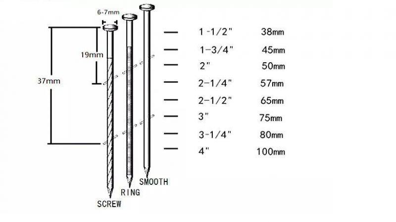 Zinc Coated Screw Shank Coil Nails for Pallet