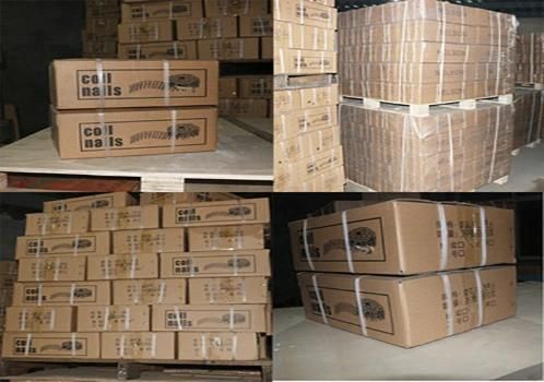 Wholesale Iron Wire Coil Nails for Pallet Packaging From Chinese Factory