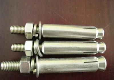 Expansion Bolt Fixing Bolt Anchor Expansion Bolt Zinc M12*55