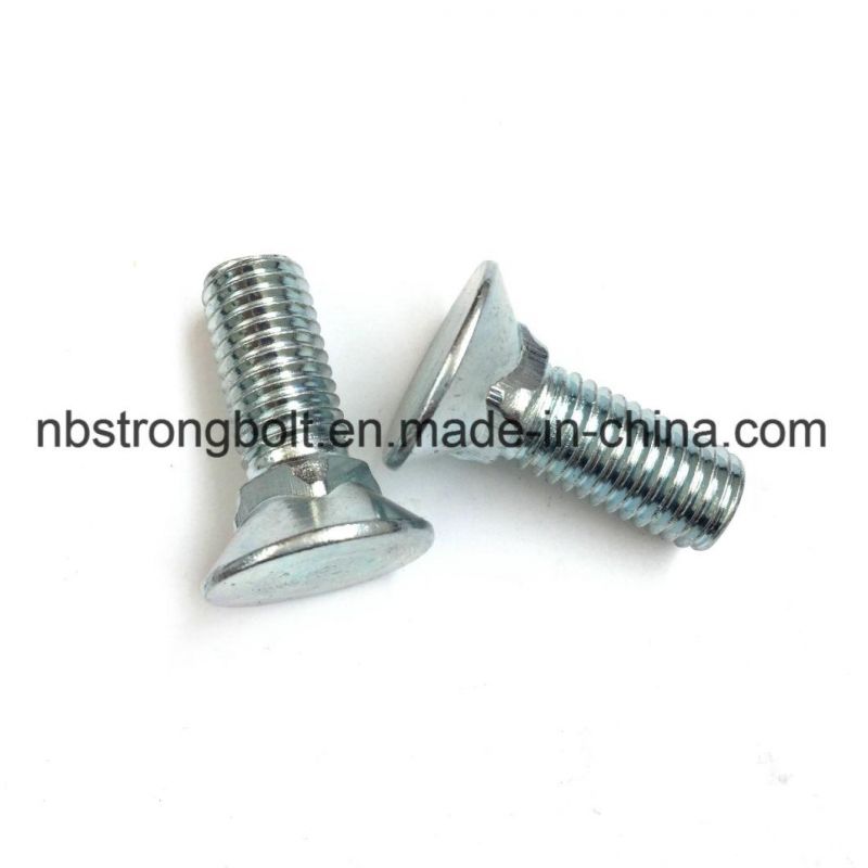 Flat Head Square Neck Screw with White Zinc Plated/Customized Flat Head Screw