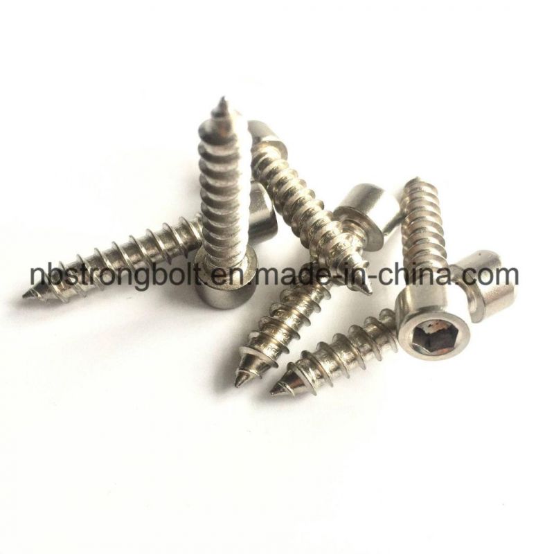 Self Tapping Screw, Socket Head Self Tapping Screw