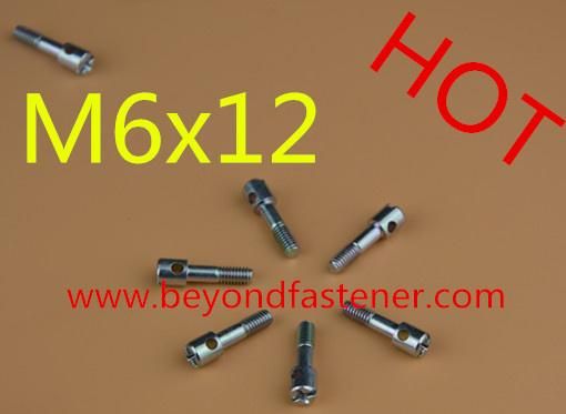Screw/Pan Head Screw Self Drillig Screw DIN7504n Roofing Screw