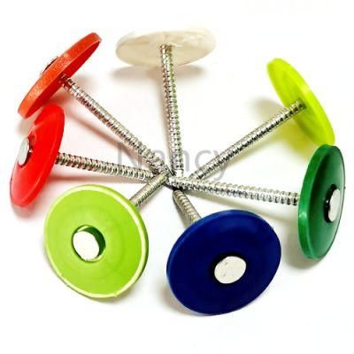3/4&quot;X12g Electro Galvanized Ring Shank Spiral Shank Round Plastic Cap Roofing Nails, 2, 000 Count