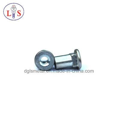 Hollow Rivet / Rivetr with High Quality