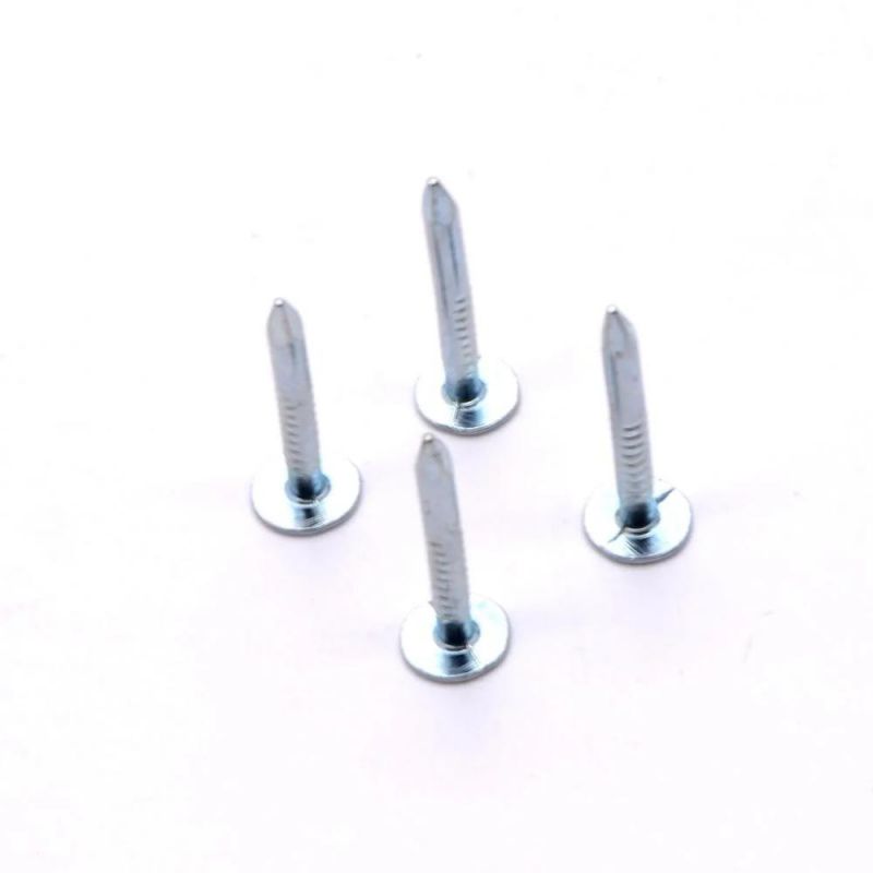 Flat Head Roofing Nails Clout Nails Cupper Nails
