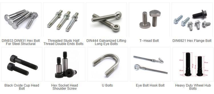 U Shape Bolt 304 316 Stainless Steel DIN3570 U-Bolt with Hex Nut and Flat Washer