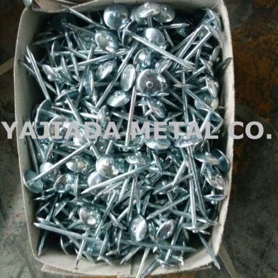 Umbrella Head Roofing Nails, Galvnaized Roofing Screw